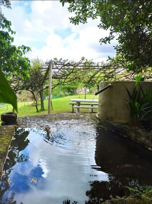 Villa A Vina De Lina. Turismo Rural Con Piscina Y Finca. à Pontevedra Extérieur photo